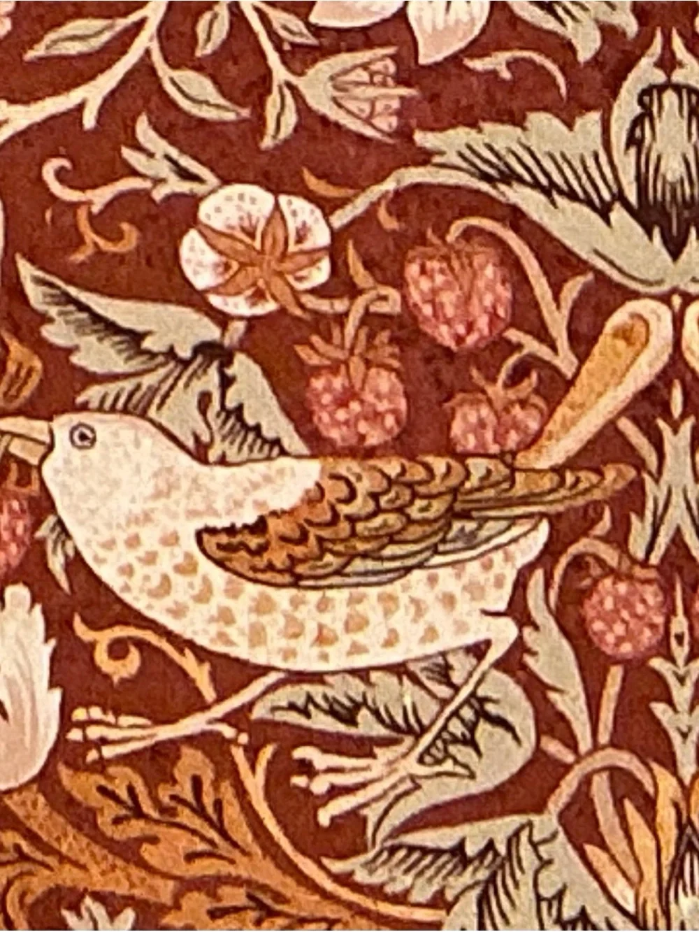William Morris Bird & Floral Jacquard Pillow in Rust & Cream with Green Fringe